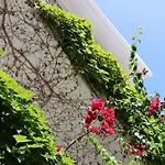 Olympic Kosmas Hotel- Chaniotis