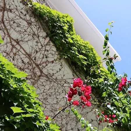 Olympic Kosmas Hotel- Hanioti