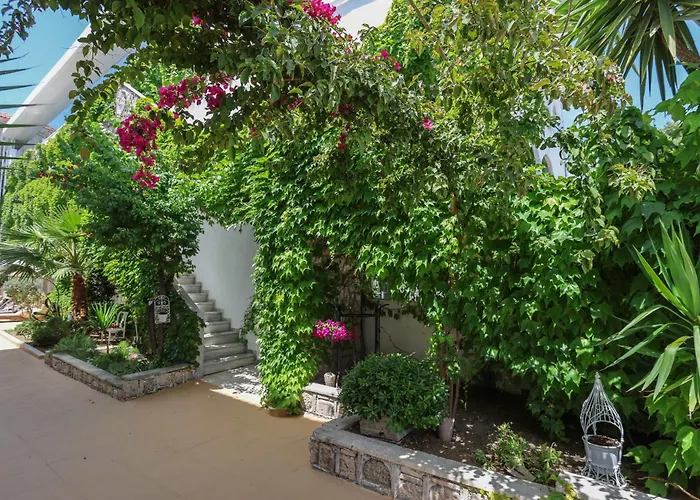 Ξενοδοχείο Olympic Kosmas Hotel- 3*