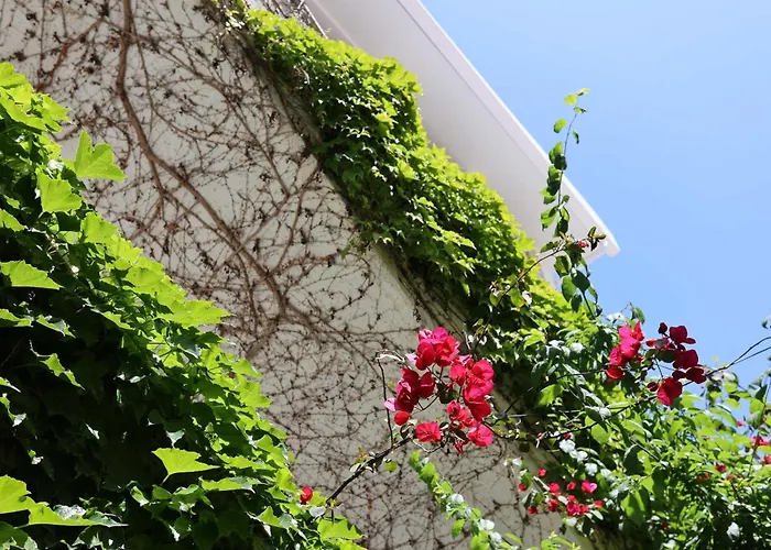 Olympic Kosmas Hotel- Χανιώτη
