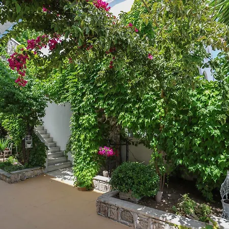 מלון Olympic Kosmas Hotel- Hanioti 3*